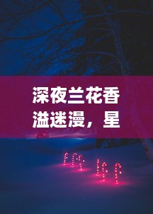 深夜兰花香溢迷漫，星光下的秘密花园 ，揭秘夜兰神秘生态与独特魅力