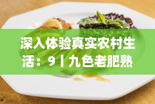 深入体验真实农村生活：9丨九色老肥熟露脸，为美食献上最原始的味道