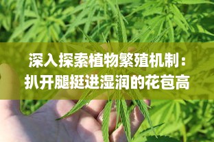 深入探索植物繁殖机制：扒开腿挺进湿润的花苞高清视频展示