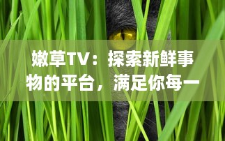 嫩草TV：探索新鲜事物的平台，满足你每一处好奇，爱上独特创意的绝佳地方