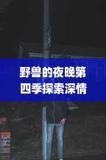 野兽的夜晚第四季探索深情与挣扎：忘不掉的前任让爱情更加复杂纠结