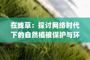 在线草：探讨网络时代下的自然植被保护与环境可持续发展策略