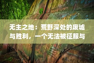 无主之地：荒野深处的废墟与胜利，一个无法被征服与占领的世界的残酷生存故事