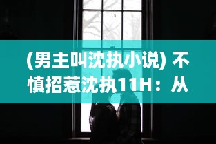 (男主叫沈执小说) 不慎招惹沈执11H：从情感纷争到深入揭秘他的不为人知的彩色人生