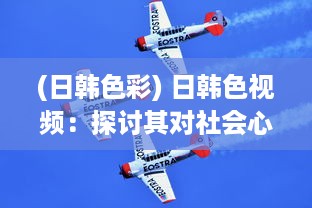 (日韩色彩) 日韩色视频：探讨其对社会心理影响及法律规制的紧迫性