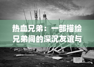 热血兄弟：一部描绘兄弟间的深沉友谊与共同奋斗历程的感人故事