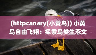 (httpcanary(小黄鸟)) 小黄鸟自由飞翔：探索鸟类生态文化与生活乐趣的品质生活之旅