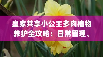 皇家共享小公主多肉植物养护全攻略：日常管理、浇水技巧和养殖环境详细介绍