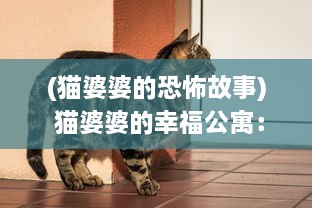 (猫婆婆的恐怖故事) 猫婆婆的幸福公寓：记述一位老人与流浪猫群的感动共生故事