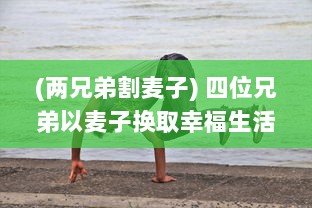 (两兄弟割麦子) 四位兄弟以麦子换取幸福生活的冒险旅程：兄弟换麦子4 深度解读