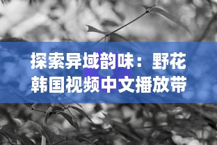 探索异域韵味：野花韩国视频中文播放带你领略韩国文化之美 v2.6.8下载