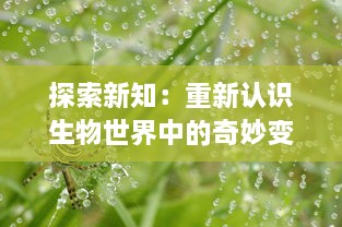 探索新知：重新认识生物世界中的奇妙变化 ，蝌蚪视频带你深入了解青蛙的成长过程