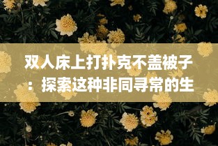 双人床上打扑克不盖被子：探索这种非同寻常的生活模式背后的深层社会文化含义