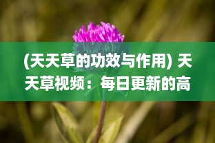 (天天草的功效与作用) 天天草视频：每日更新的高清影视内容，打造您的专属视听享受