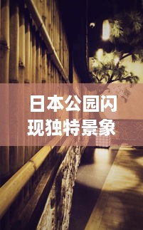 日本公园闪现独特景象：丰满熄火灯带来不一样的夜晚艺术 v2.0.0下载