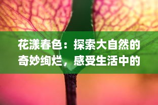 花漾春色：探索大自然的奇妙绚烂，感受生活中的每一抹灿烂色彩 v2.2.3下载