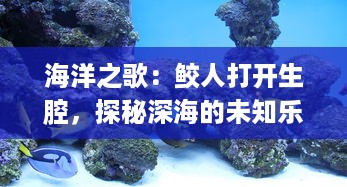 海洋之歌：鲛人打开生腔，探秘深海的未知乐章 v2.9.5下载