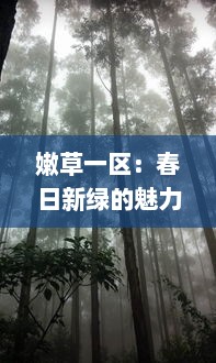 嫩草一区：春日新绿的魅力与生态保护的重要性 v1.2.2下载