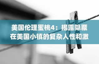 美国伦理蜜桃4：揭露隐藏在美国小镇的复杂人性和激烈情感的深度剖析 v4.6.1下载