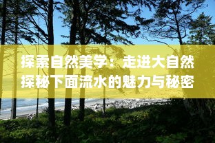 探索自然美学：走进大自然探秘下面流水的魅力与秘密的全景高清视频 v4.7.6下载