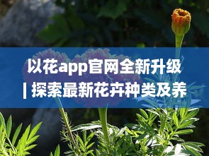 以花app官网全新升级| 探索最新花卉种类及养护秘籍| 一站式花卉购物体验 v7.1.0下载