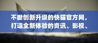 不断创新升级的快猫官方网，打造全新体验的资讯、影视、游戏一站式服务平台