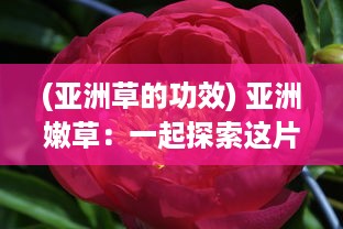 (亚洲草的功效) 亚洲嫩草：一起探索这片绿色生机勃勃、充满活力的未知领域