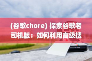 (谷歌chore) 探索谷歌老司机版：如何利用高级搜索技巧提升网上冲浪效率