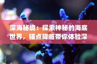 深海秘境：探索神秘的海底世界，锚点降临带你体验深海科学的奇妙旅程