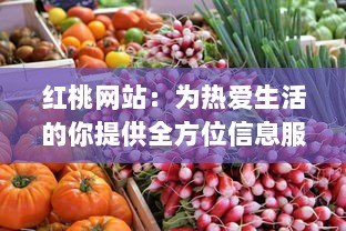 红桃网站：为热爱生活的你提供全方位信息服务的综合性在线平台