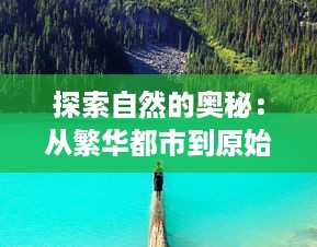 探索自然的奥秘：从繁华都市到原始森林，我们回森林去的生态环保之旅