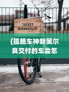 (孤胆车神新奥尔良交付的车会怎么样) 新奥尔良风情下的疾速追逐：孤胆车神挑战极限的荡气回肠之旅