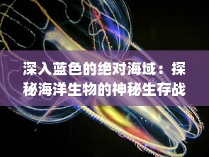 深入蓝色的绝对海域：探秘海洋生物的神秘生存战与不为人知的海底秘密