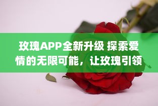 玫瑰APP全新升级 探索爱情的无限可能，让玫瑰引领你的浪漫之旅 v0.4.8下载