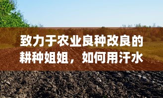 致力于农业良种改良的耕种姐姐，如何用汗水和智慧让家乡的土地更肥沃 v2.4.3下载