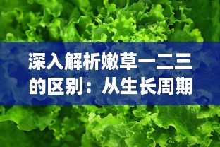 深入解析嫩草一二三的区别：从生长周期、营养价值到适用场景的全面比较