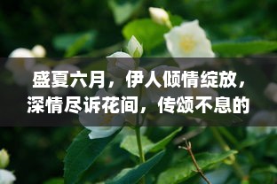 盛夏六月，伊人倾情绽放，深情尽诉花间，传颂不息的浪漫故事 v9.6.2下载