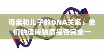 母亲和儿子的DNA关系：他们的遗传物质是否完全一样 v0.2.2下载