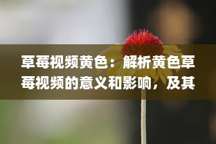 草莓视频黄色：解析黄色草莓视频的意义和影响，及其在娱乐行业中的独特地位 v7.9.3下载