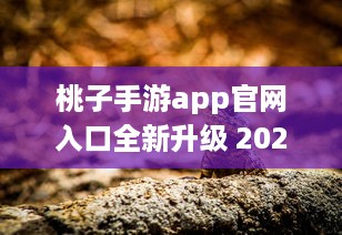 桃子手游app官网入口全新升级 2021最新动态一手掌握，畅享无限游戏乐趣 v5.6.1下载