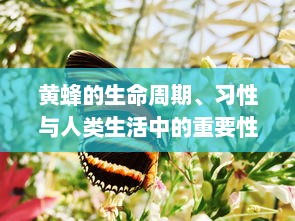 黄蜂的生命周期、习性与人类生活中的重要性：从生态平衡到环境保护的一种全新视角