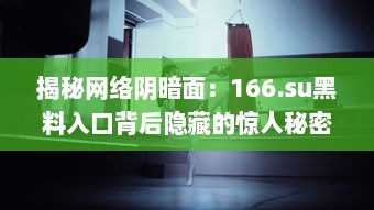 揭秘网络阴暗面：166.su黑料入口背后隐藏的惊人秘密 v4.7.4下载