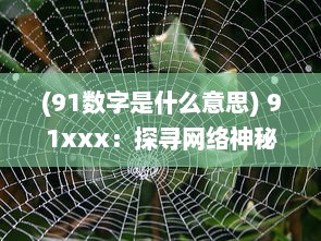 (91数字是什么意思) 91xxx：探寻网络神秘数字的背后含义与其在现代社会中的影响力