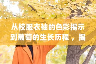 从校服衣袖的色彩揭示到葡萄的生长历程 ，揭秘学生校服中隐藏的艳丽色彩与农业文化的深度融合