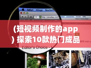 (短视频制作的app) 探索10款热门成品短视频app：哪个更适合你的视频编辑需求