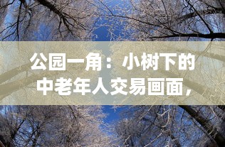 公园一角：小树下的中老年人交易画面，揭示城市生活中不为人知的一面图片集展示 v4.9.8下载