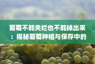 葡萄不能夹烂也不能掉出来：揭秘葡萄种植与保存中的艺术与科学 v0.4.2下载