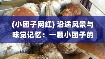 (小团子网红) 沿途风景与味觉记忆：一颗小团子的奇幻美食旅行故事