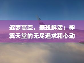 逐梦高空，振翅鲜活：神翼天堂的无尽追求和心动冒险之旅