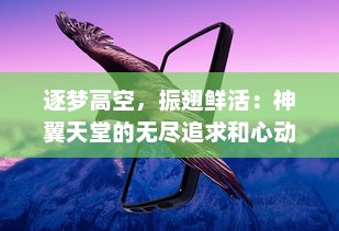 逐梦高空，振翅鲜活：神翼天堂的无尽追求和心动冒险之旅